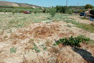 εικόνα ακινήτου