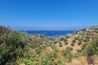 εικόνα ακινήτου