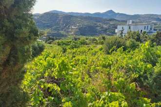 εικόνα ακινήτου