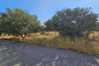 recent property image