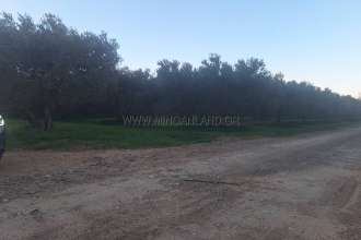 recent property image